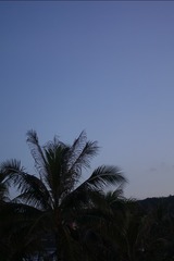 DBD28F17-9567-43C0-9AD8-DA6F95EE814E/L0/001