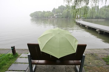 595039