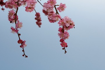 F83B5751-7776-4D3D-94D7-35A9BF2A2904/L0/001