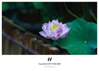 35430339-A4A8-45CF-AAF4-D8B88F5A2359/L0/001