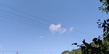 254606