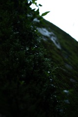 1000066311
