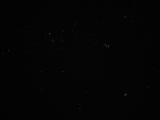 1203616
