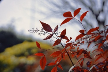 B58A8B73-F9A1-4717-A644-B56238C590BE/L0/001