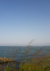 827574D2-5FB2-4CEE-A6F9-A8AA9937AC6E/L0/001