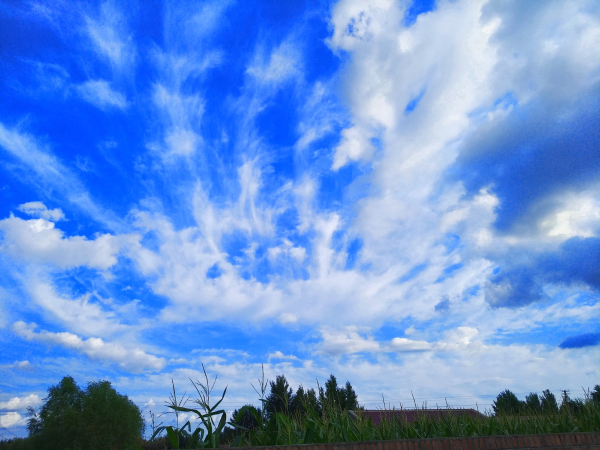 掬一捧蓝天蓝得纯粹蓝得深邃