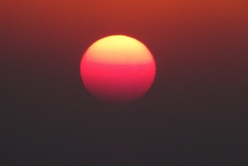 87FB9515-D921-4F02-8911-BA9F5488930A/L0/001