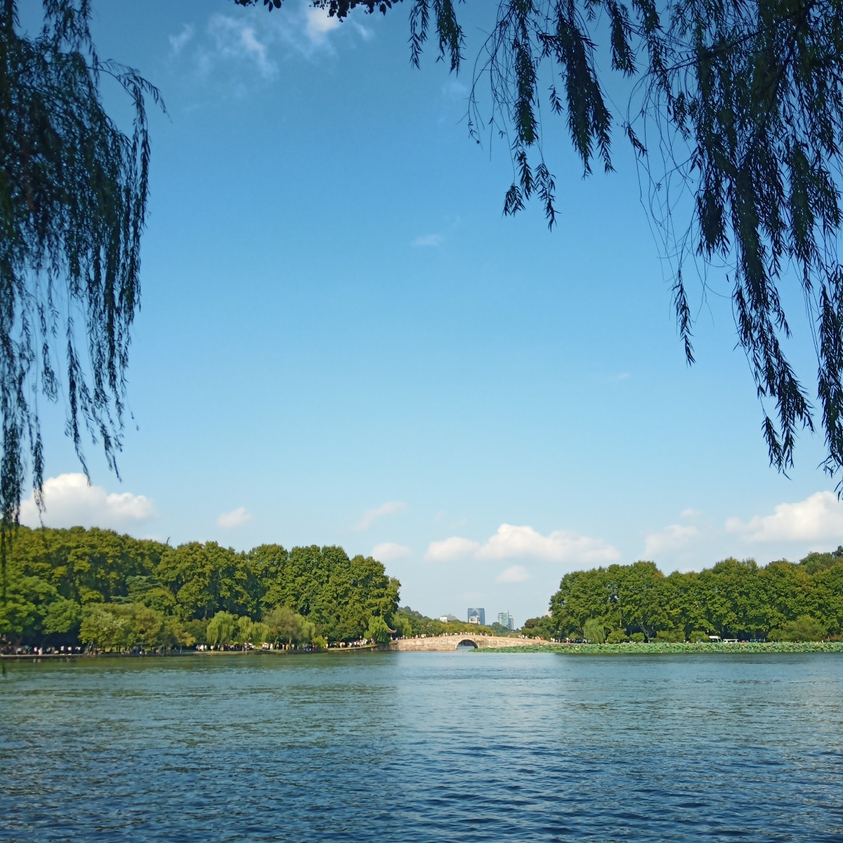 波光粼粼平静的湖面湛蓝的天空葱郁的树木柳条和谐且美好