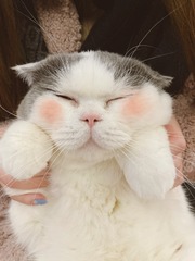 79