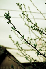 后来