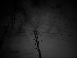 1000013155