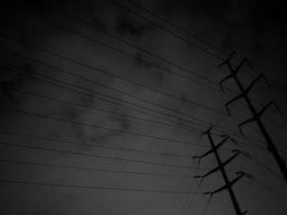 1000013153