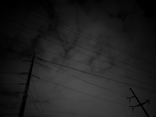 1000013156