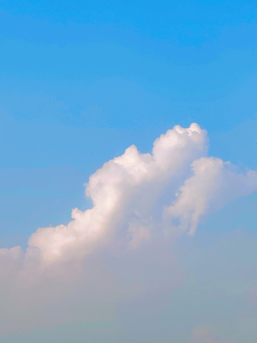 摄影师_克莱因蓝 - 图虫