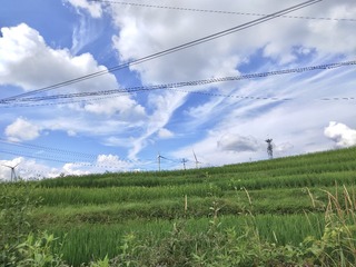 0754ED01-4CA3-4E44-A0EA-47506DEE2460/L0/001