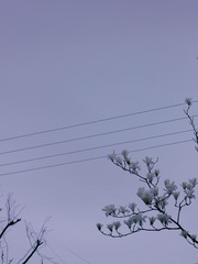 F23ED71C-8174-4F9B-AD73-B5106F6E76B3/L0/001
