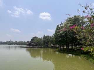 FD3E88C6-B993-4C16-9E53-8304B9FD6CD6/L0/001
