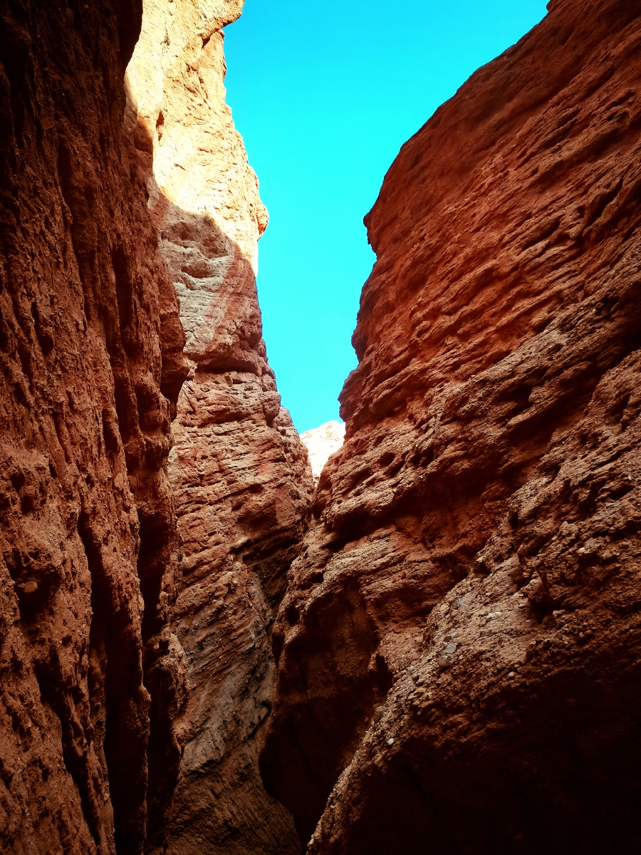 库车红山大峡谷只缘身在此山中