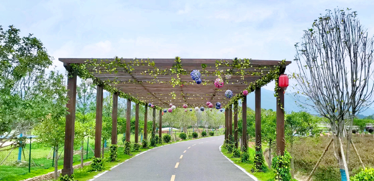 略做装饰的景区内马路,给马路增添了乐趣还变好看了(ω)