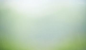 162A7765-B460-4800-85AB-51EAEC2354AA/L0/001