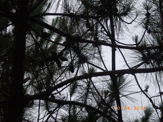 381EA3F5-50D7-4307-AAAA-9D79A112D288/L0/001