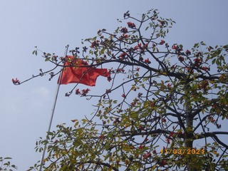 07D41923-A434-4E61-A0B4-ABD34F8ED401/L0/001
