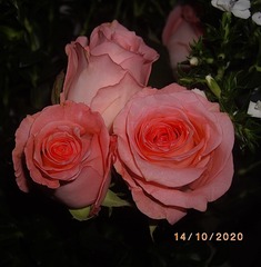 034EE070-700B-4063-8FCD-835352061B82/L0/001