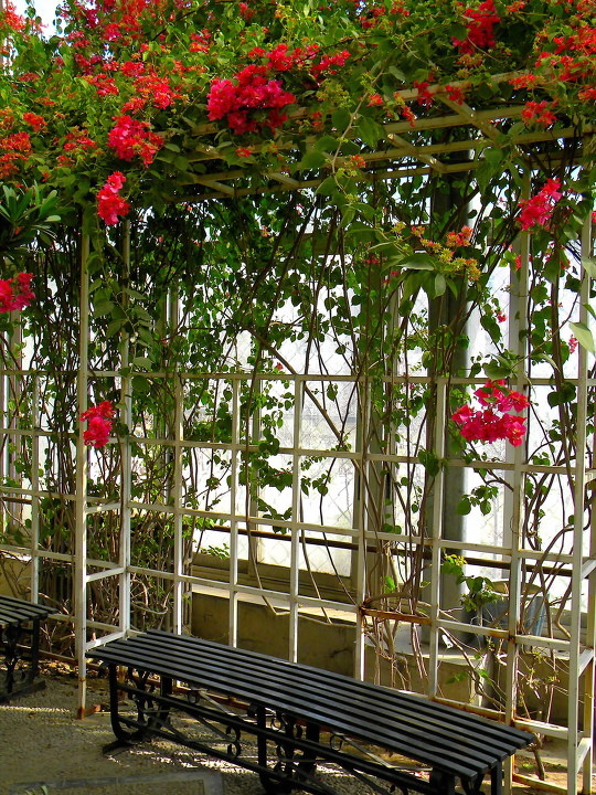 花荫 br /> 小憩一下,多惬意.