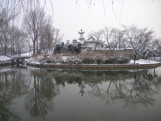 裕西公园湖心岛