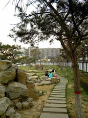 石板小路