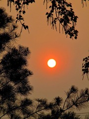 夕阳