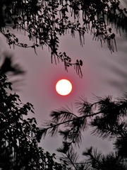 夕阳