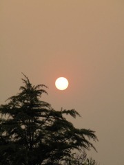 夕阳