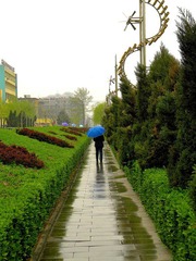 春雨