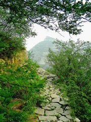 山路