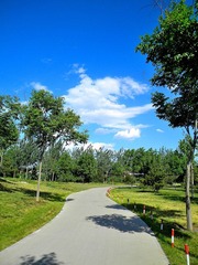 小路