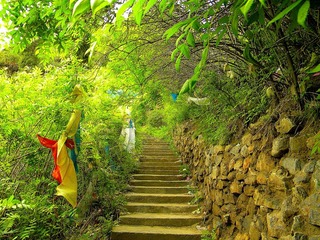 佑宁寺     随拍