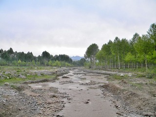 红崖子沟的早晨