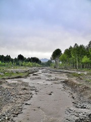 红崖子沟的早晨