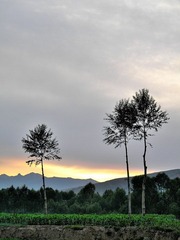 红崖子沟的早晨