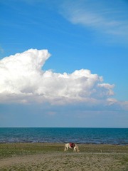 青海湖