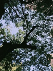 1000008617