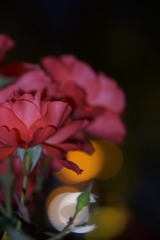 6D9C7360-BA45-4CD8-9597-C162B74E5EE6/L0/001