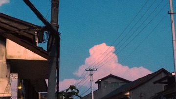 2036594