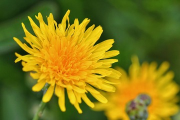 A43EDF97-3639-4FF5-A7C9-49AA0E2F98CC/L0/001