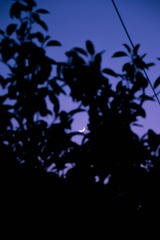 2660C36F-425A-44F7-9966-621DABAEC84F/L0/001