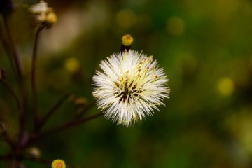 396186AC-7D08-4C58-AC43-EBBD8506F23B/L0/001