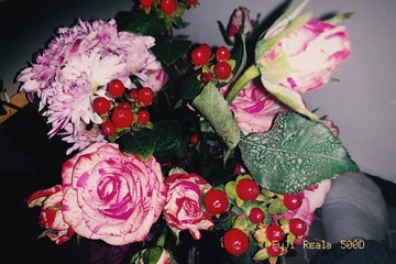 BD033FD2-92E4-45E8-ADC7-CC40C324752E/L0/001