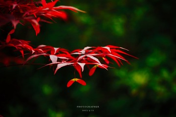 9A009183-9DBD-4818-B3FB-B9237B5681AB/L0/001