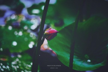 6FF0039E-33C0-4788-AA21-8B98801378F0/L0/001